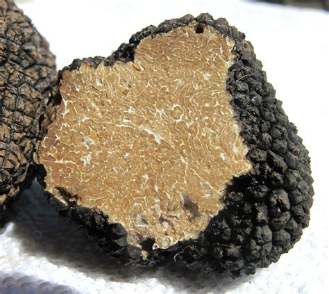 Get magic truffles
